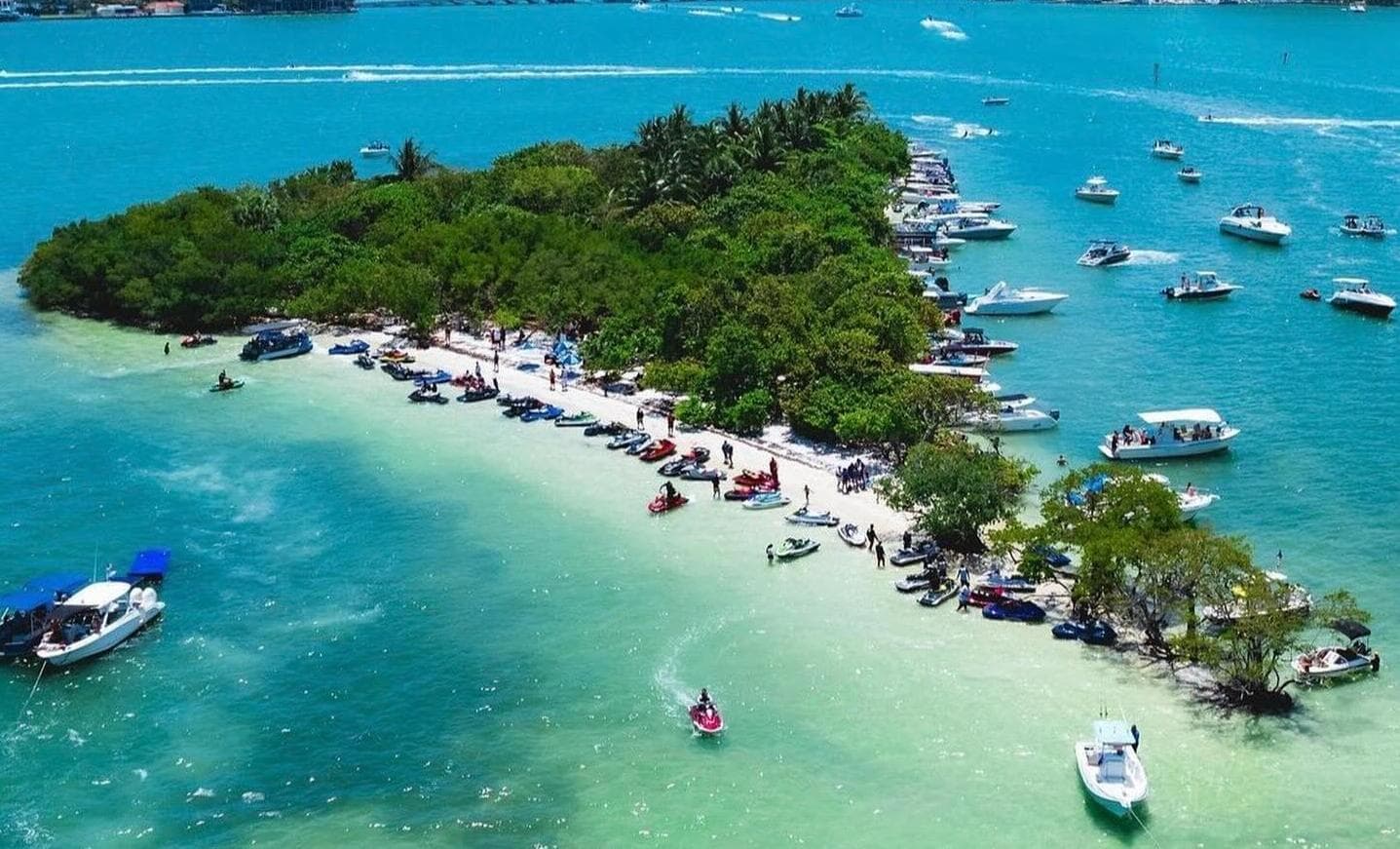 Pace Picnic Island — Lieu réel